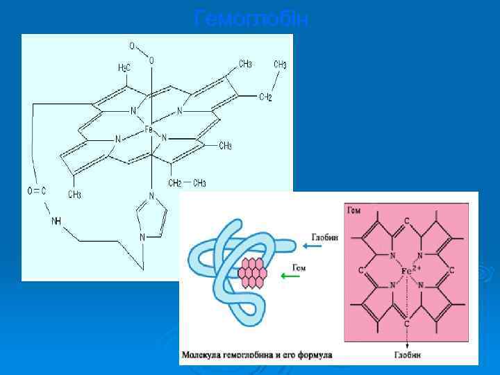 Гемоглобін 
