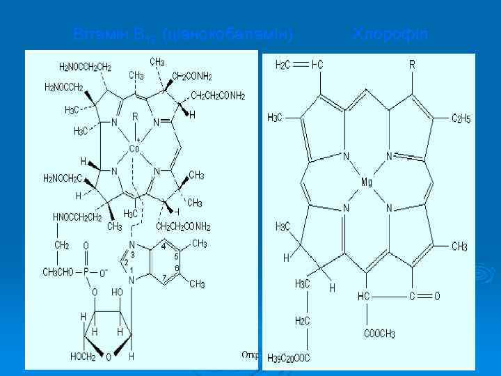 Вітамін В 12 (ціанокобаламін) Хлорофіл 