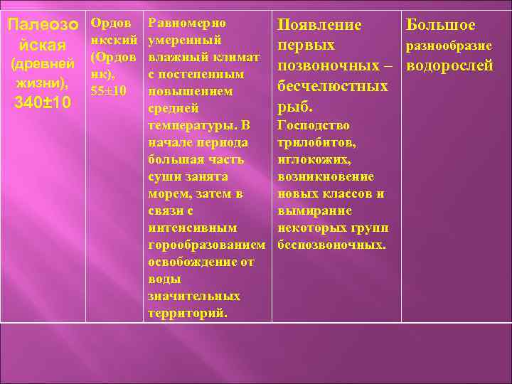 Палеозо Ордов Равномерно йская икский умеренный Появление Большое первых разнообразие (древней (Ордов влажный климат