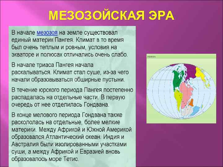 МЕЗОЗОЙСКАЯ ЭРА 