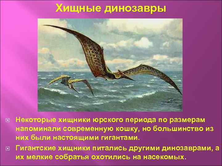 Хищные динозавры Некоторые хищники юрского периода по размерам напоминали современную кошку, но большинство из