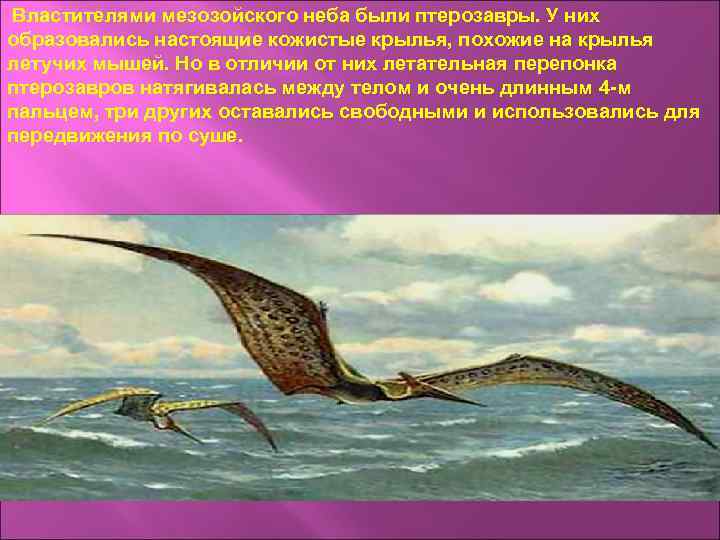 Объясните руководствуясь этой схемой формирование кожистых крыльев большой площади у предков