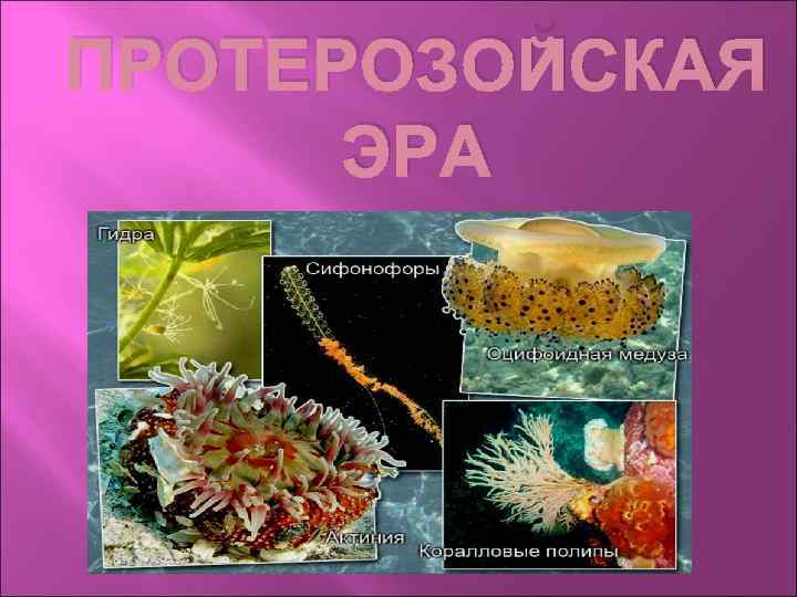 ПРОТЕРОЗОЙСКАЯ ЭРА 