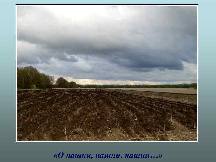  «О пашни, пашни…» 