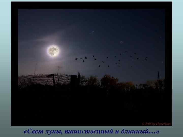  «Свет луны, таинственный и длинный…» 