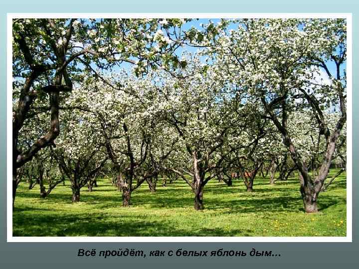 Всё пройдёт, как с белых яблонь дым… 