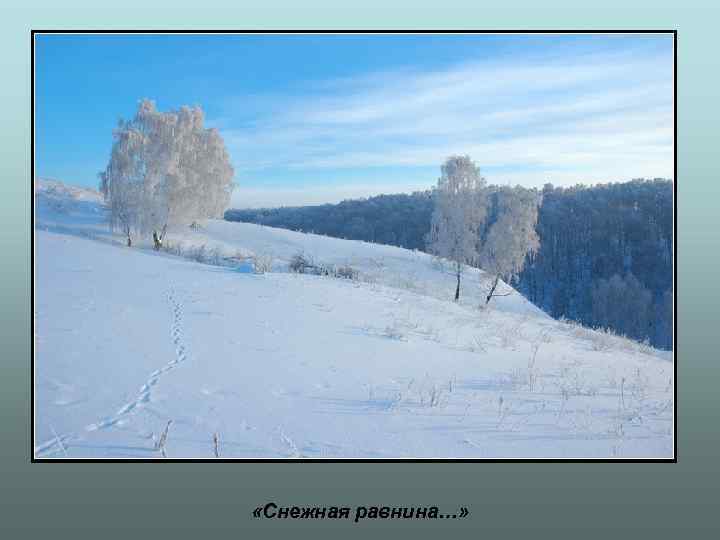  «Снежная равнина…» 