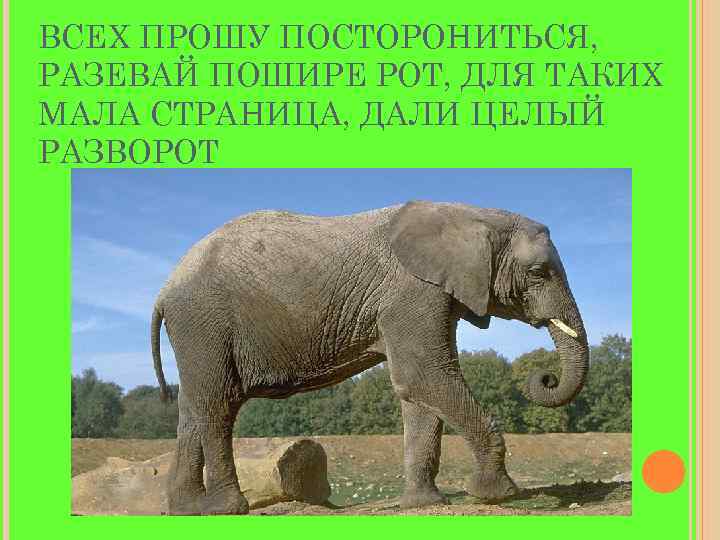 ВСЕХ ПРОШУ ПОСТОРОНИТЬСЯ, РАЗЕВАЙ ПОШИРЕ РОТ, ДЛЯ ТАКИХ МАЛА СТРАНИЦА, ДАЛИ ЦЕЛЫЙ РАЗВОРОТ 