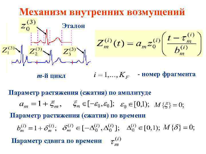 Механизм внутренних возмущений Эталон m-й цикл - номер фрагмента Параметр растяжения (сжатия) по амплитуде