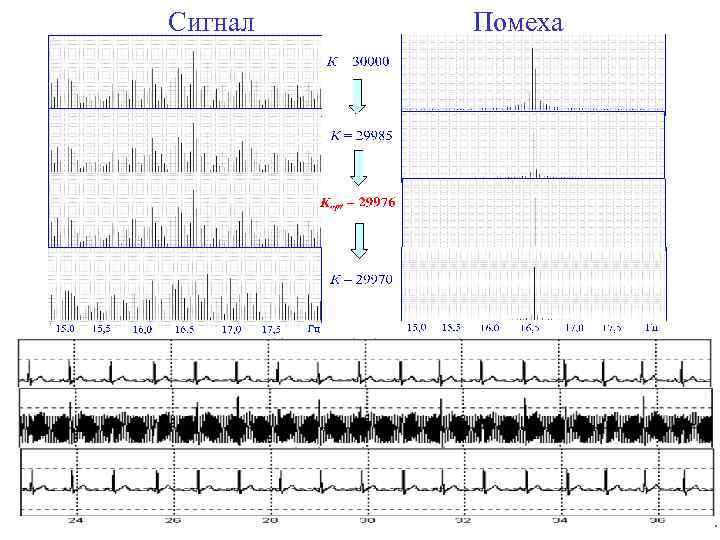 Сигнал Помеха 