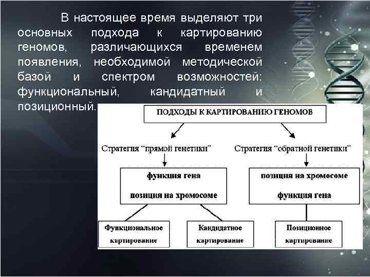 Выделяют науки