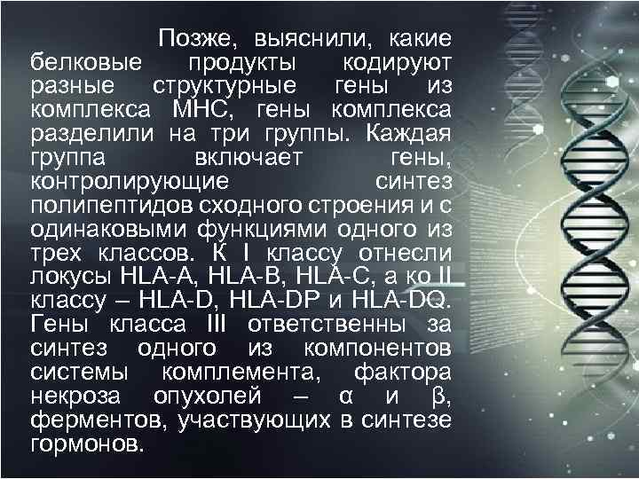 Позже, выяснили, какие белковые продукты кодируют разные структурные гены из комплекса MHC, гены комплекса