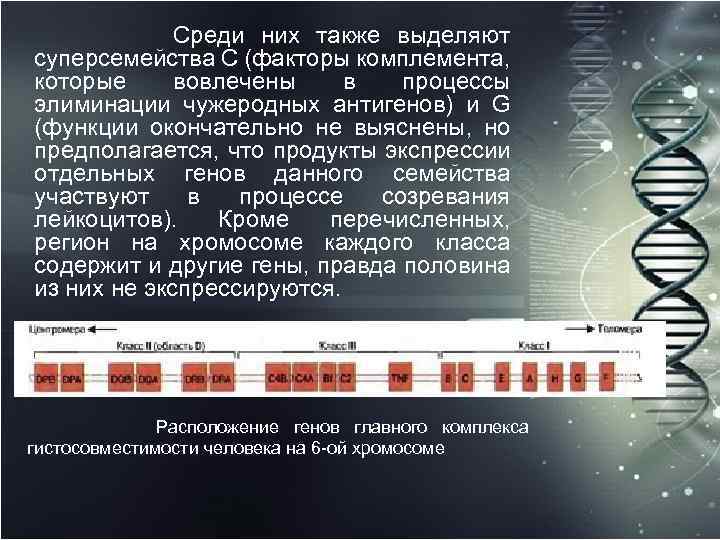Среди них также выделяют суперсемейства C (факторы комплемента, которые вовлечены в процессы элиминации чужеродных