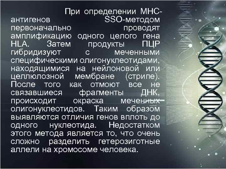 При определении МНСантигенов SSO-методом первоначально проводят амплификацию одного целого гена HLA. Затем продукты ПЦР