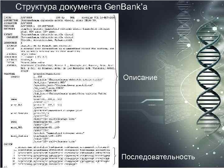 Структура документа Gen. Bank’а Описание Последовательность 