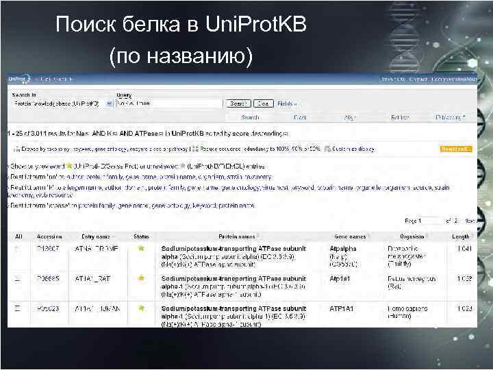 Поиск белка в Uni. Prot. KB (по названию) 