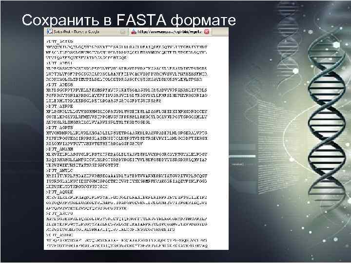Сохранить в FASTA формате 