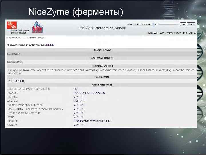 Nice. Zyme (ферменты) 