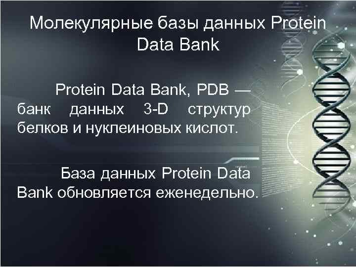 Молекулярные базы данных Protein Data Bank, PDB — банк данных 3 -D структур белков