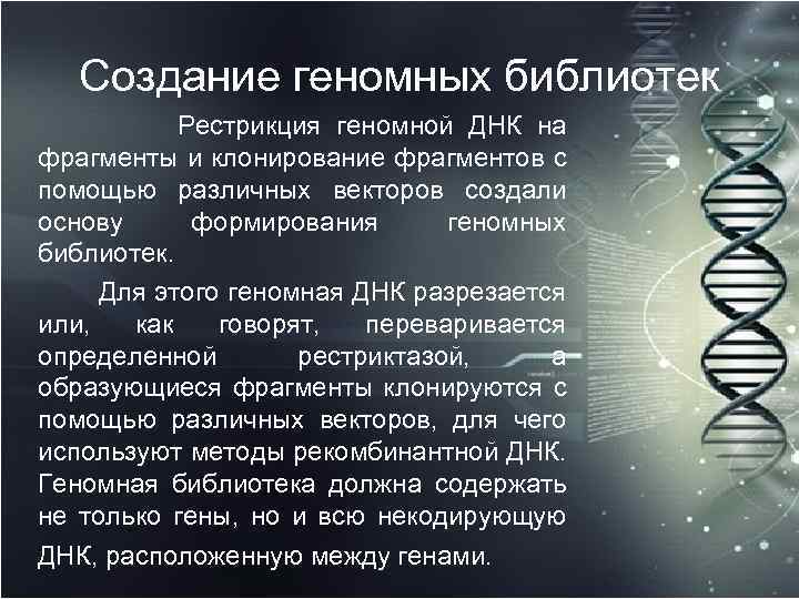 Создание геномных библиотек Рестрикция геномной ДНК на фрагменты и клонирование фрагментов с помощью различных