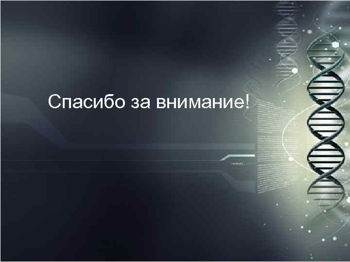 Спасибо за внимание! 