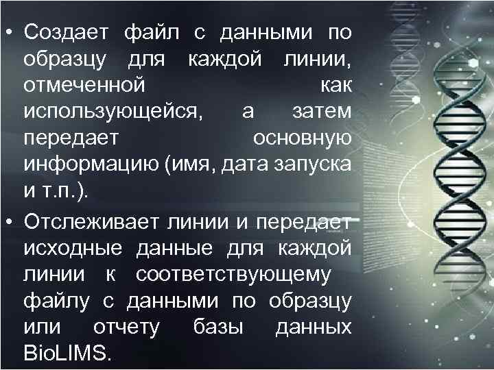  • Создает файл с данными по образцу для каждой линии, отмеченной как использующейся,