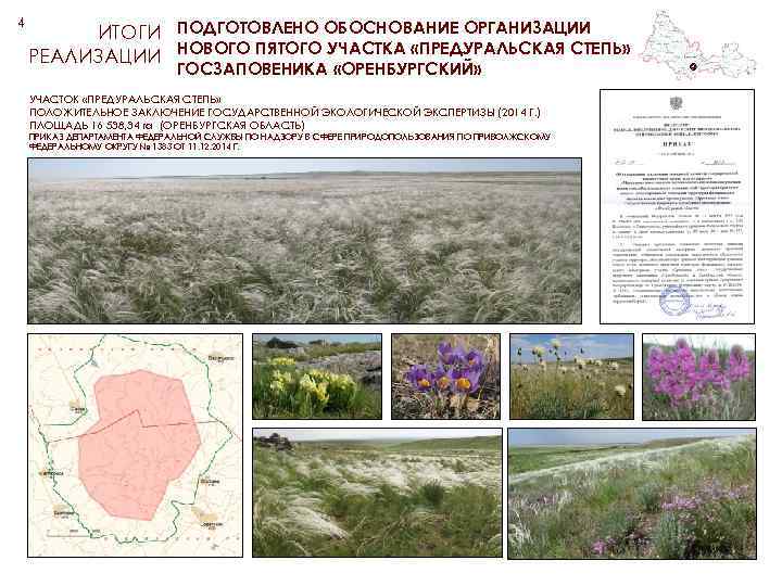 4 ИТОГИ ПОДГОТОВЛЕНО ОБОСНОВАНИЕ ОРГАНИЗАЦИИ РЕАЛИЗАЦИИ НОВОГО ПЯТОГО УЧАСТКА «ПРЕДУРАЛЬСКАЯ СТЕПЬ» ГОСЗАПОВЕНИКА «ОРЕНБУРГСКИЙ» УЧАСТОК