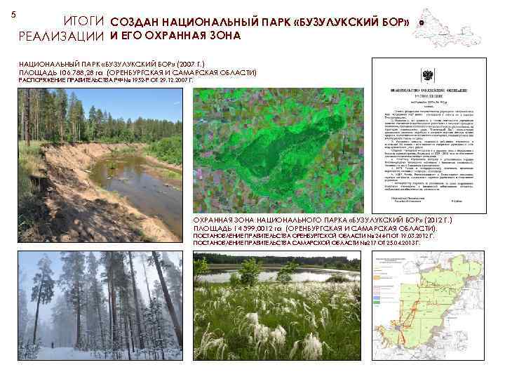 5 ИТОГИ СОЗДАН НАЦИОНАЛЬНЫЙ ПАРК «БУЗУЛУКСКИЙ БОР» РЕАЛИЗАЦИИ И ЕГО ОХРАННАЯ ЗОНА НАЦИОНАЛЬНЫЙ ПАРК