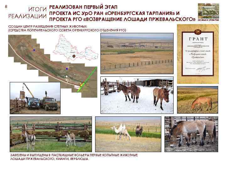 8 ИТОГИ РЕАЛИЗОВАН ПЕРВЫЙ ЭТАП ПРОЕКТА ИС Ур. О РАН «ОРЕНБУРГСКАЯ ТАРПАНИЯ» И РЕАЛИЗАЦИИ