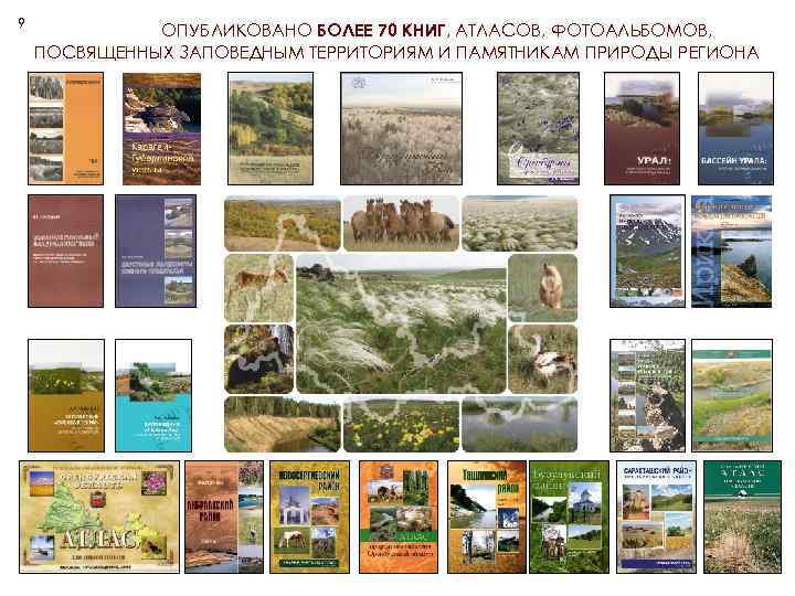 9 ОПУБЛИКОВАНО БОЛЕЕ 70 КНИГ, АТЛАСОВ, ФОТОАЛЬБОМОВ, ПОСВЯЩЕННЫХ ЗАПОВЕДНЫМ ТЕРРИТОРИЯМ И ПАМЯТНИКАМ ПРИРОДЫ РЕГИОНА