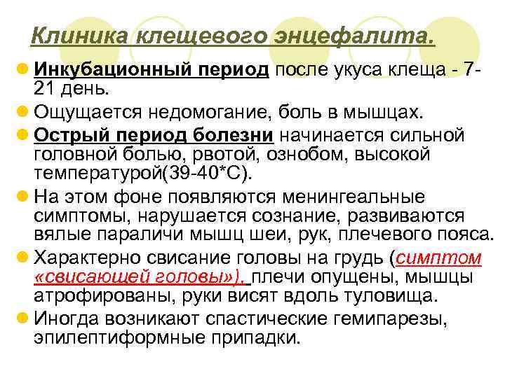 Клиника клещевого энцефалита. l Инкубационный период после укуса клеща - 721 день. l Ощущается
