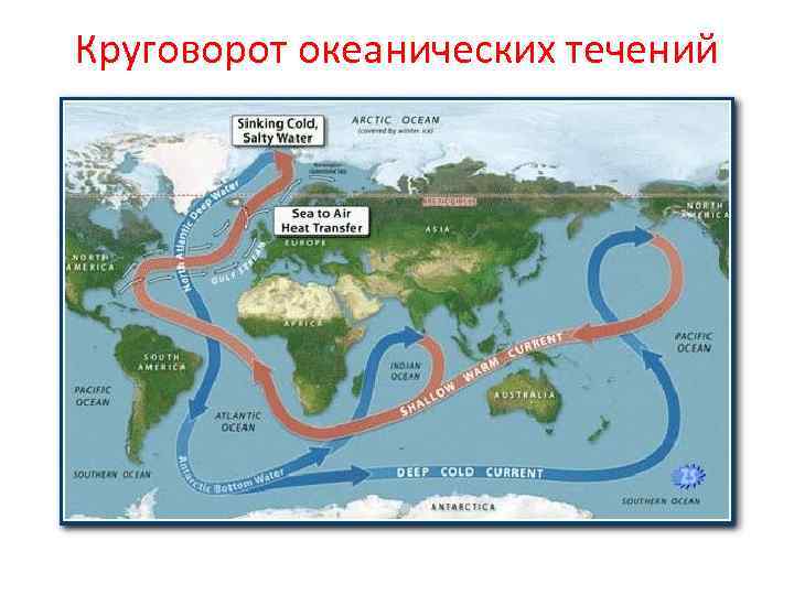 Круговорот океанических течений 