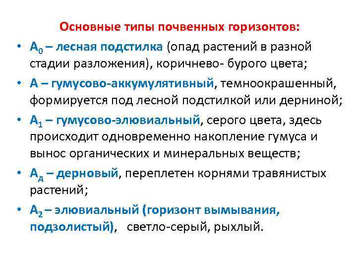  • • • Основные типы почвенных горизонтов: А 0 – лесная подстилка (опад