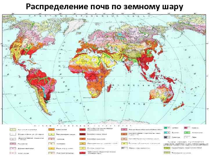 Распределение почв по земному шару 