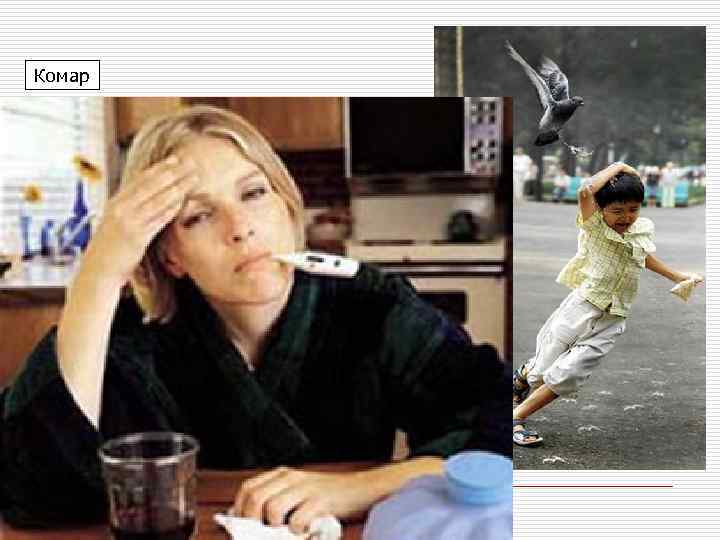 Комар Человек – селекция штаммов вируса гриппа А в последнее время реально появилась угроза