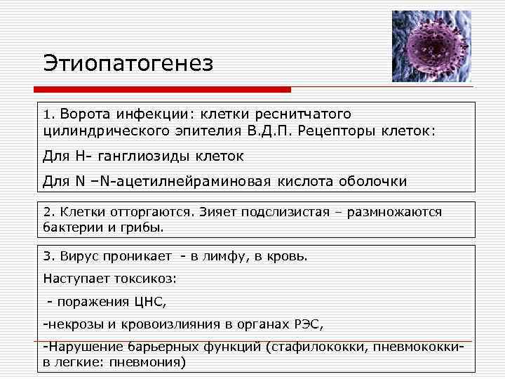 Этиопатогенез 1. Ворота инфекции: клетки реснитчатого цилиндрического эпителия В. Д. П. Рецепторы клеток: Для