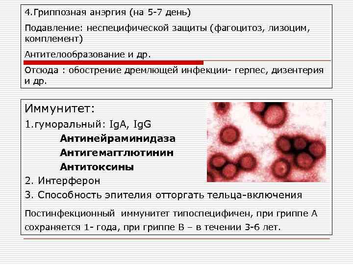 Интерферон неспецифический