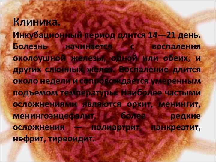 Клиника. Инкубационный период длится 14— 21 день. Болезнь начинается с воспаления околоушной железы, одной