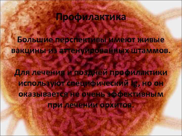 Профилактика Большие перспективы имеют живые вакцины из аттенуированных штаммов. Для лечения и поздней профилактики
