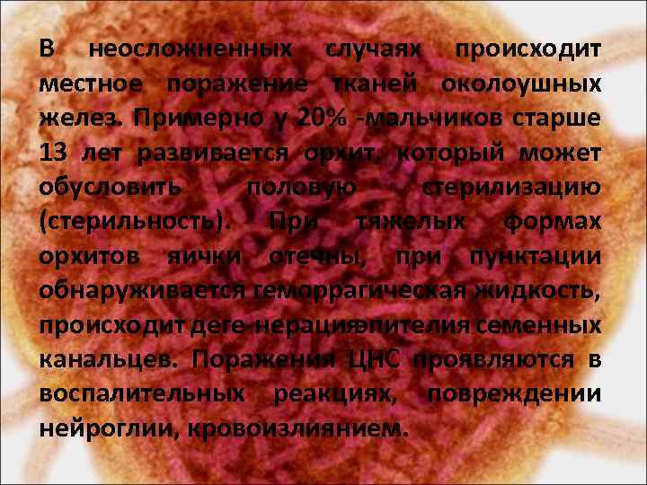 В неосложненных случаях происходит местное поражение тканей околоушных желез. Примерно у 20% мальчиков старше