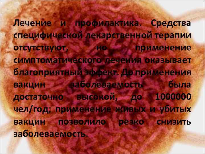 Лечение и профилактика. Средства специфической лекарственной терапии отсутствуют, но применение симптоматического лечения оказывает благоприятный