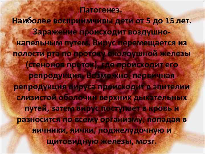 Патогенез. Наиболее восприимчивы дети от 5 до 15 лет. Заражение происходит воздушно капельным путем.