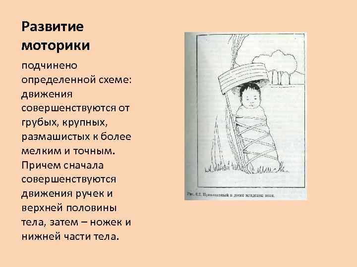 Развитие моторики подчинено определенной схеме: движения совершенствуются от грубых, крупных, размашистых к более мелким