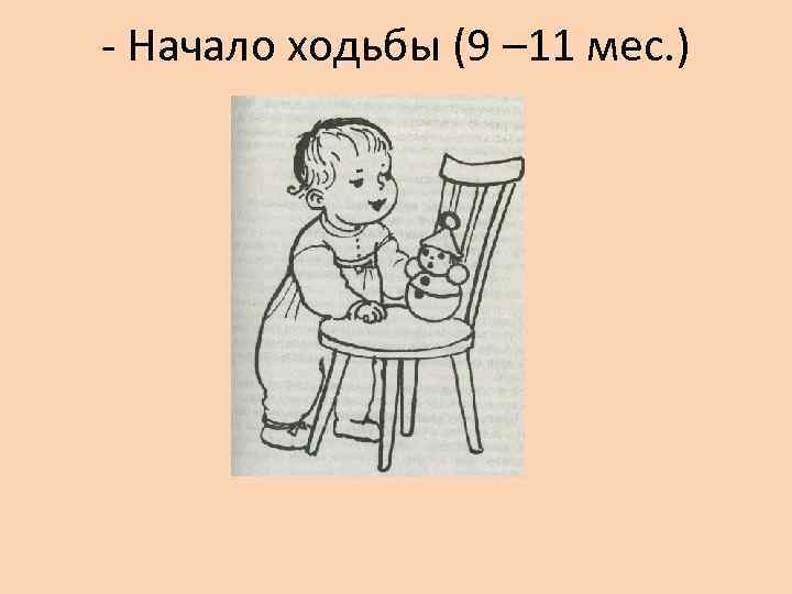 - Начало ходьбы (9 – 11 мес. ) 