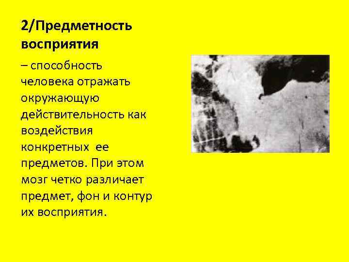 2/Предметность восприятия – способность человека отражать окружающую действительность как воздействия конкретных ее предметов. При