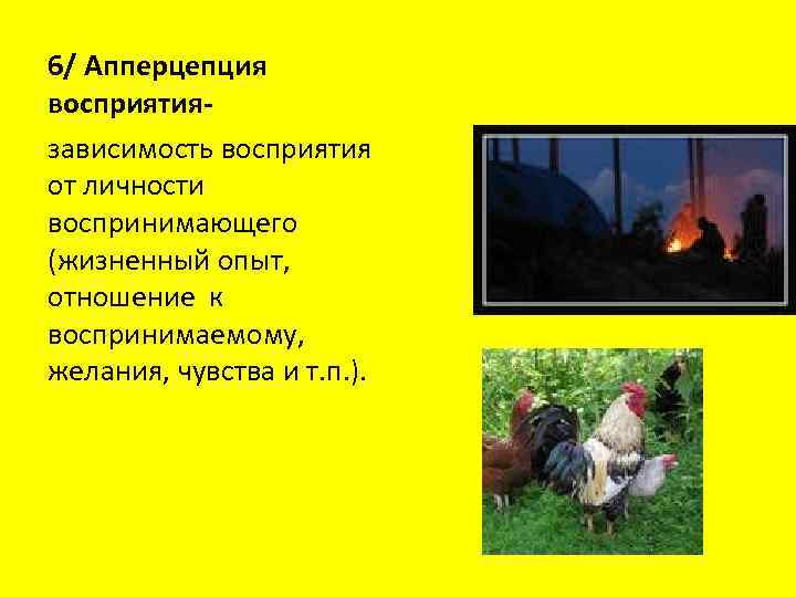 6/ Апперцепция восприятиязависимость восприятия от личности воспринимающего (жизненный опыт, отношение к воспринимаемому, желания, чувства