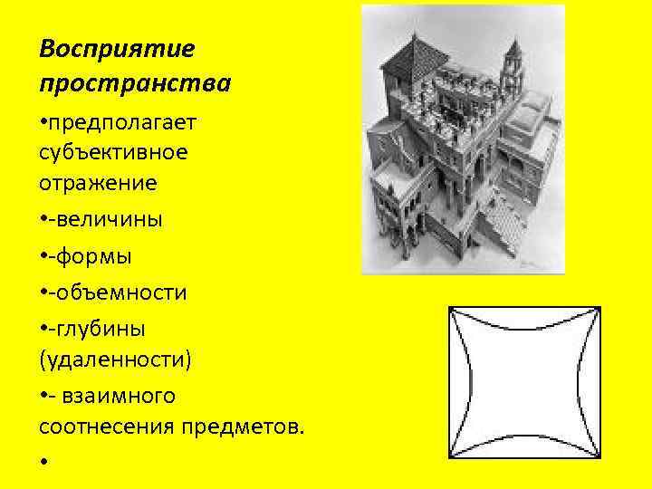Восприятие пространства • предполагает субъективное отражение • -величины • -формы • -объемности • -глубины