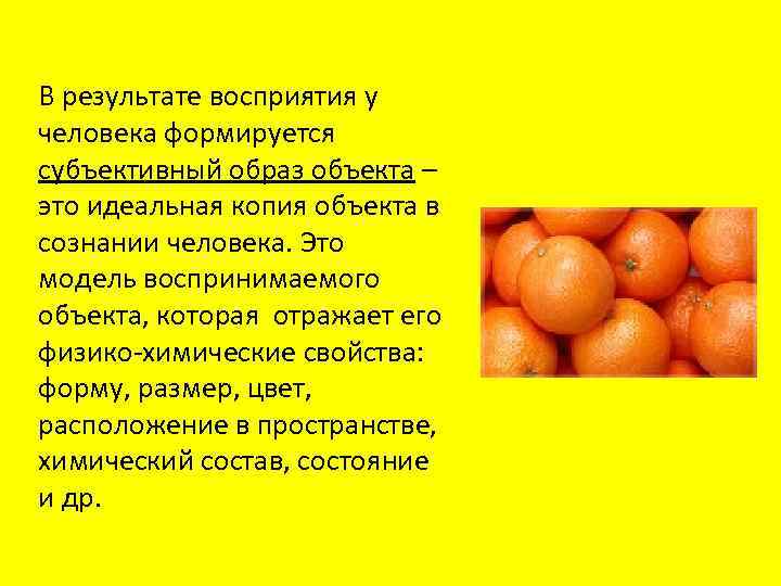 В результате восприятия у человека формируется субъективный образ объекта – это идеальная копия объекта