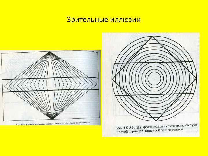 Зрительные иллюзии 