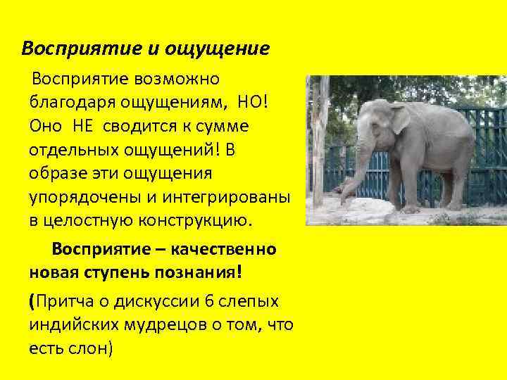 Восприятие и ощущение Восприятие возможно благодаря ощущениям, НО! Оно НЕ сводится к сумме отдельных